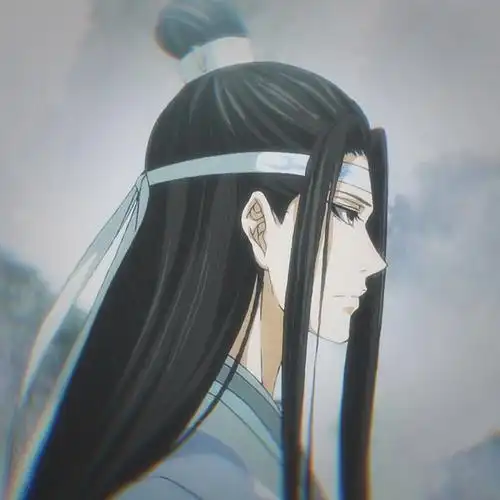 蓝忘机自截二传注明dt道友在渡劫