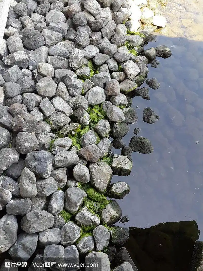 装饰池塘的石头