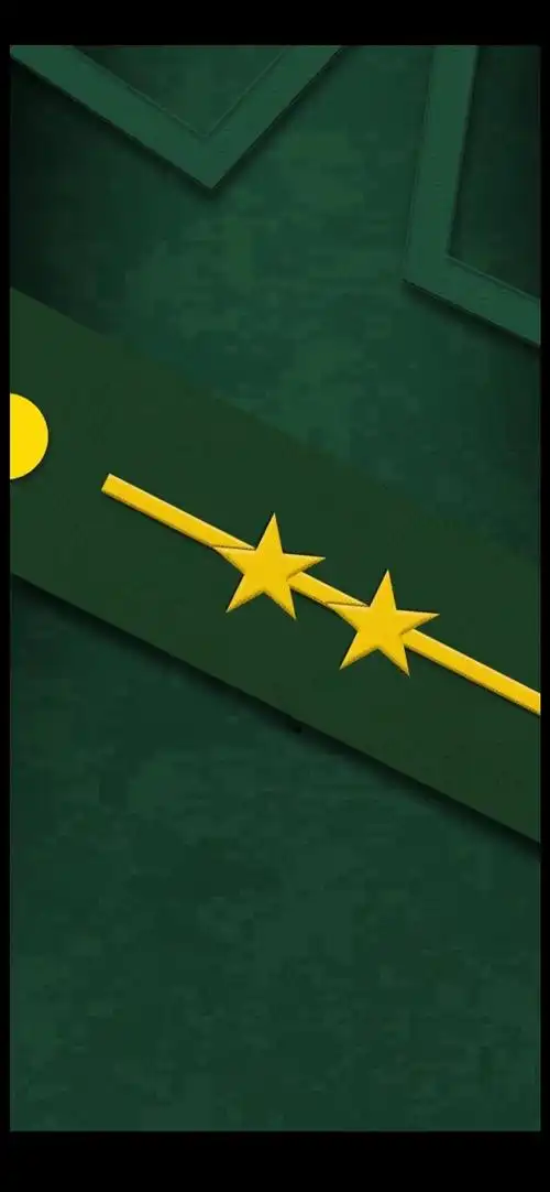 要高清的谢谢大家(手机壁纸|人民武警军衔等级肩章系列全套手机壁纸)