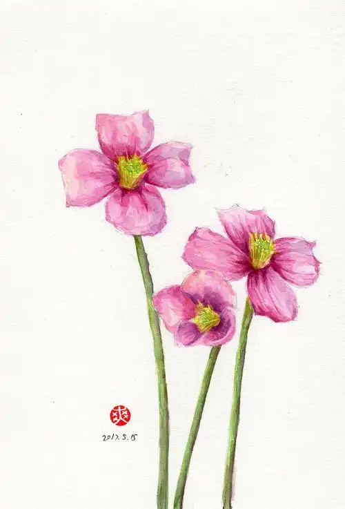 水彩—春天的花花世界|纯艺术|绘画|菜菜小白zxs - 原创作品 - 站酷 (