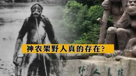 神农架野人真的存在?村民采药时发现野人头发,专家检测让人吃惊