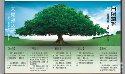 像大树,学做人(献给浮躁的那些人!