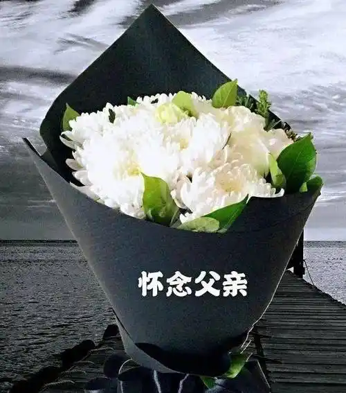 我提起沉重的笔,用我笨拙的文字,深深怀念我那逝去的亲人——我的父亲