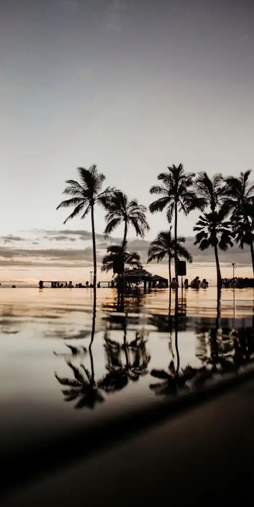 哦吼 是谁心心念念的景深风景壁纸!