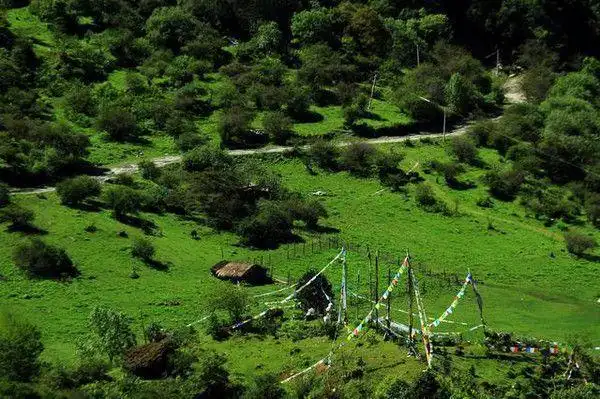 玉麦沟:受到印度洋水气较强烈影响,冬季多雪,春夏秋三季多雨的气候