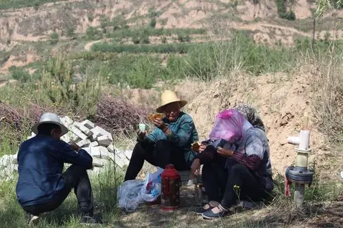 辛勤劳动的农民 - 美篇