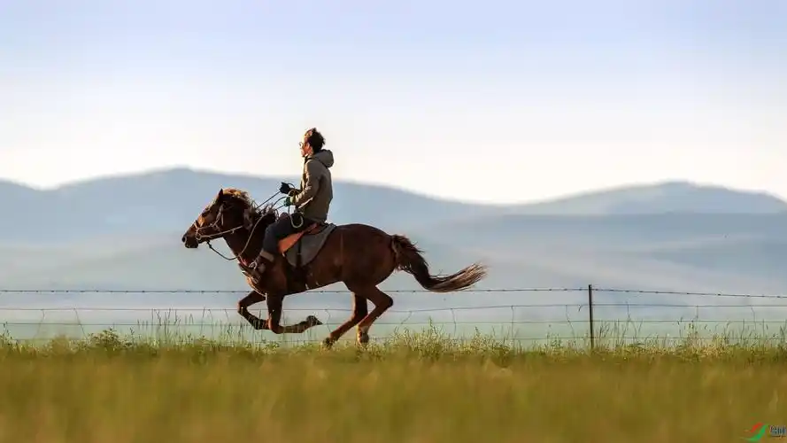 美丽的呼伦贝尔大草原(祝贺老师佳作荣获首页精华)
