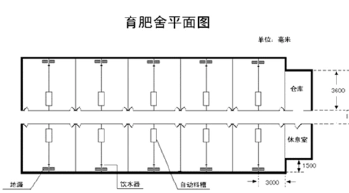 200-300头育肥猪猪舍设计图