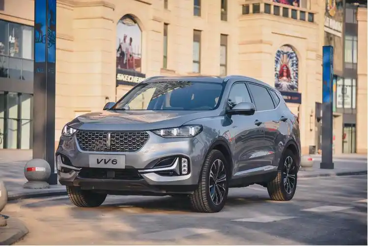 wey vv6何以备受老司机追捧?硬核防疫力是关键