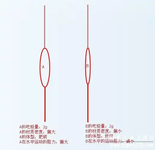 认识浮漂-漂的作用漂型以及吃铅量