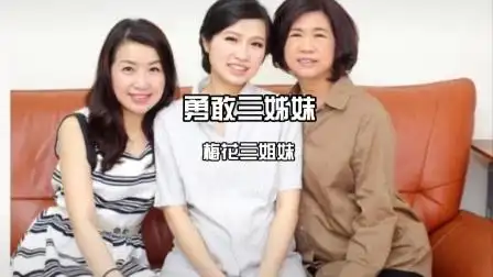 长大以后的梅花三姐妹不知道是不是她们.