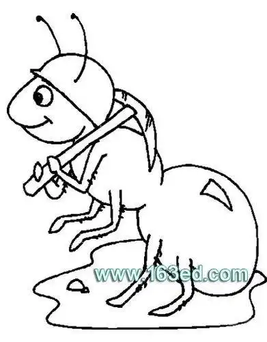 蚁后工蚁兵蚁简笔画