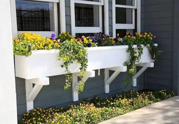 花台设计的技巧和灵感,助你打造美丽花台