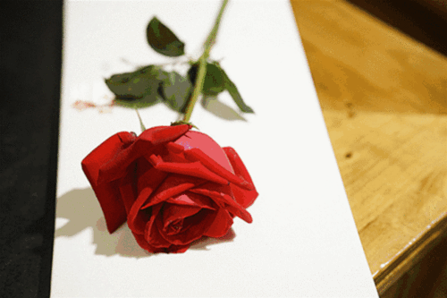 640_426gif 动态图 动图