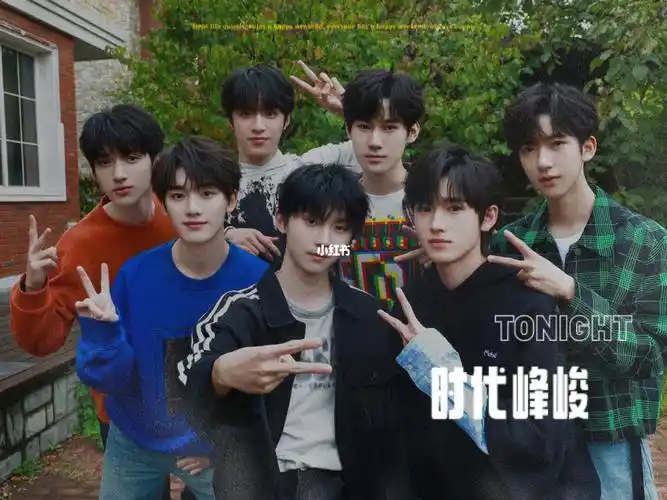 有没有一种可能 时代峰峻是黑帮