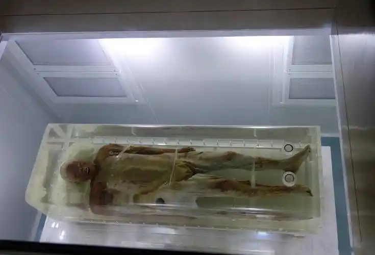 为何能两千年不腐,那封写给阴间的介绍信,是什么内容_先生_棺材_古尸