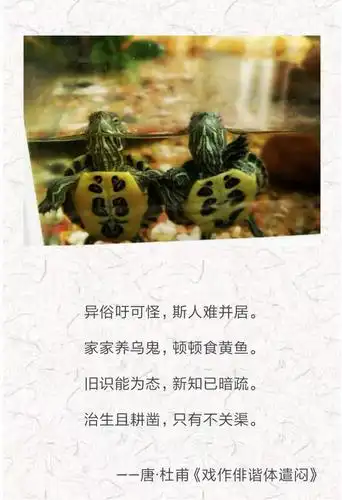 打油诗,堪称古代段子手们的最爱,一起看看风趣幽默的打油诗吧