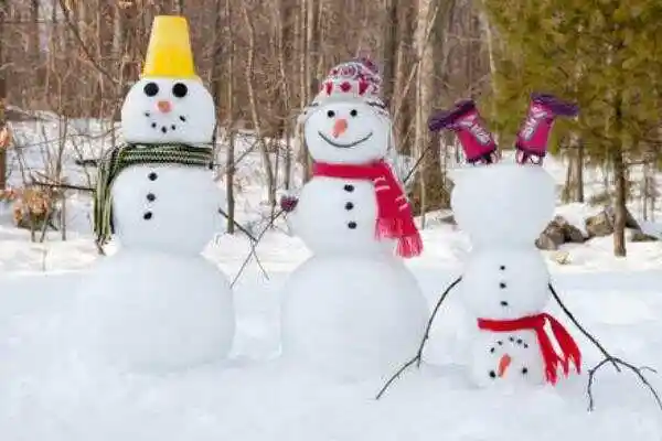 2007东北肢体雪人案是真事吗原型发生于08年至今未侦破