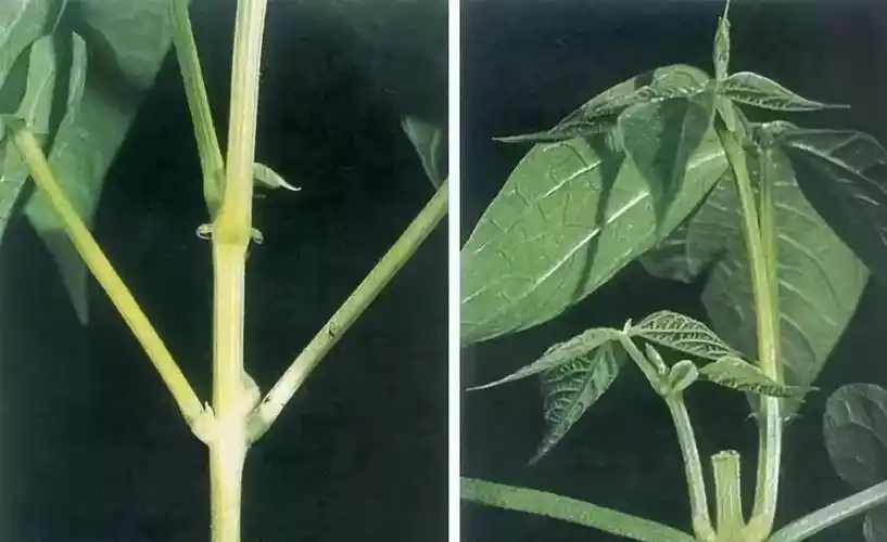 管理时间的本质是管理自己-搜狐大视野-搜狐新闻