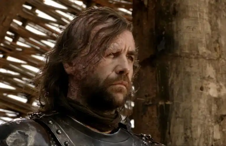 少年时由于偷了兄长格雷果·克里冈的玩具被按入火盆毁容,从此埋下对