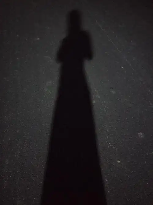 安静的小路上 只有我那寂寞的影子和孤独的路灯 一直相伴至黑夜的尽头