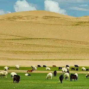 点滴(艾丽丝王哥移门腰线配件)头像