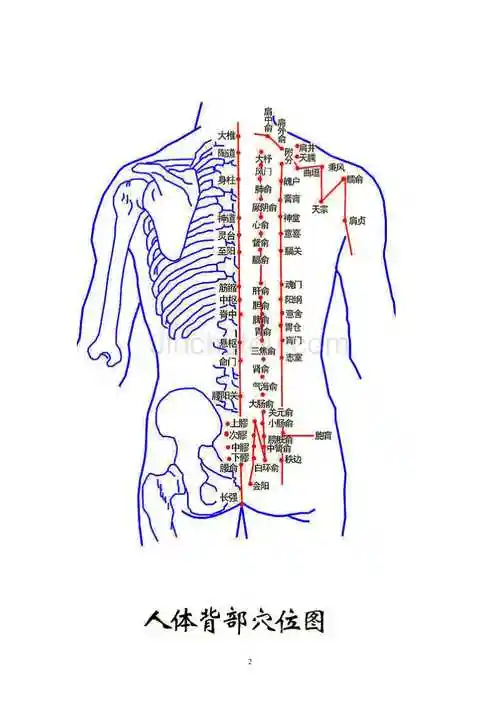 拔罐后皮肤颜色鉴别附人体背部空位图