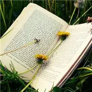 一本书头像图片大全