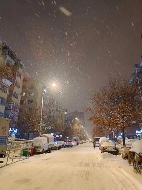 哈尔滨的清雪大军这次终于开足马力清雪啦!#你的城市下雪了吗  - 抖音