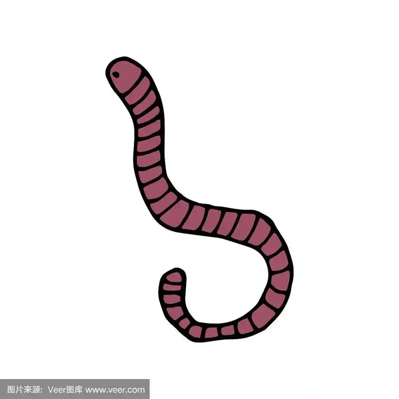 手绘彩色蚯蚓孤立在一个白色的背景.涂鸦,简单的大纲插图.