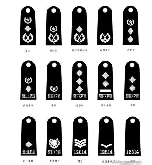 你们知道香港警务处处长的行政职务在我国内地,大概相当于什么级别的