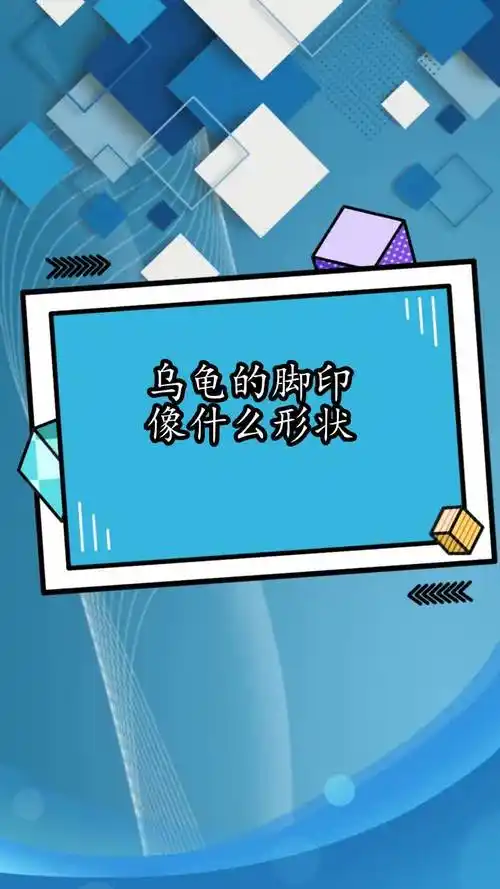 乌龟的脚印像什么形状,你理解了吗