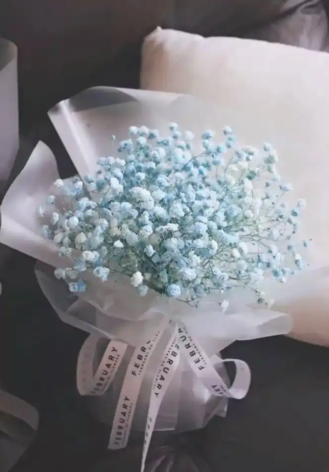 白色满天星:它的花语为纯洁,浪漫.紫色:它的花语为思念,想念 - 抖音