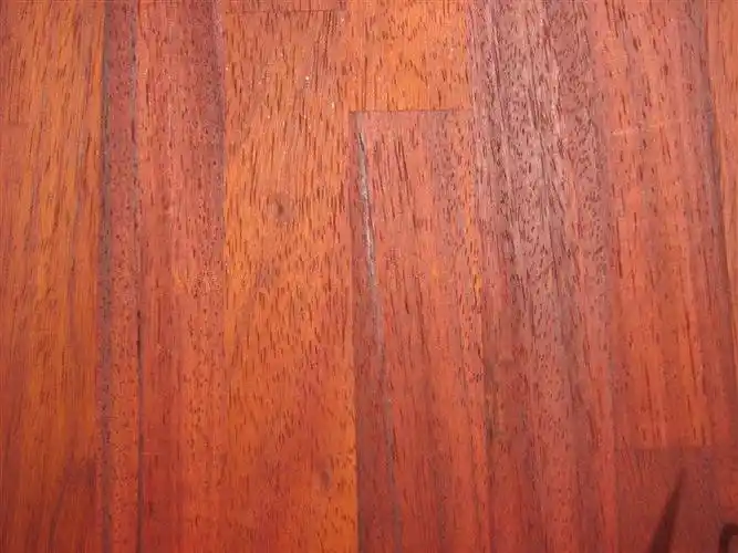 非洲紫檀的介绍