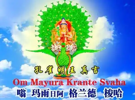 孔雀明王咒正确读音教学