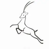 西安青藏藏羚羊商贸有限公司