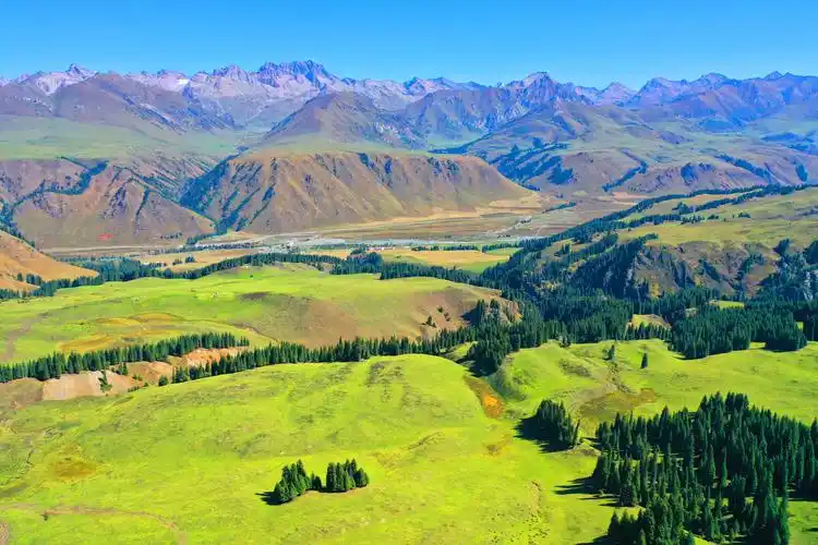 新疆伊犁唐布拉景区风景如画