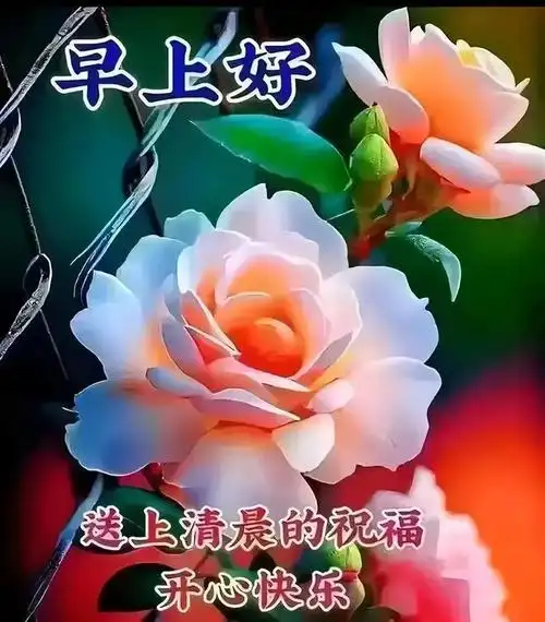 温馨早安问候祝福,愿你吉祥安康|清晨|早上好_网易订阅