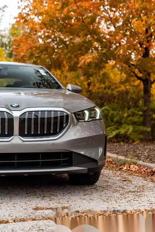 全新宝马530i 海外标轴版 香槟色 豪华套装 我觉得挺漂亮的