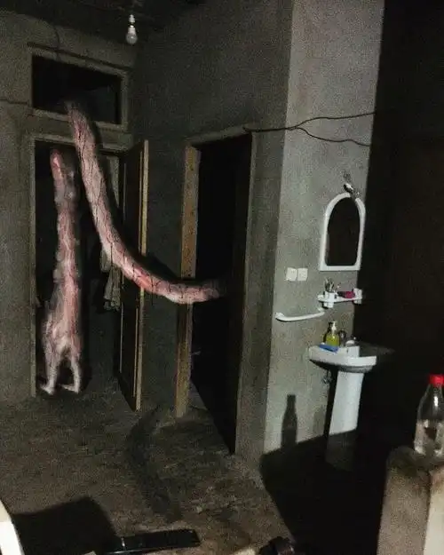 日本有鬼图创作者吗?