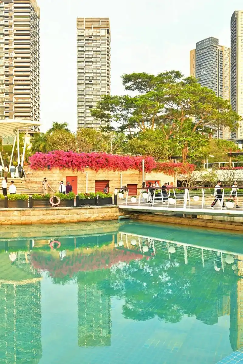 海上世界|深圳周末休闲好去处.闻名遐迩的蛇口地标海上世界(明 - 抖音