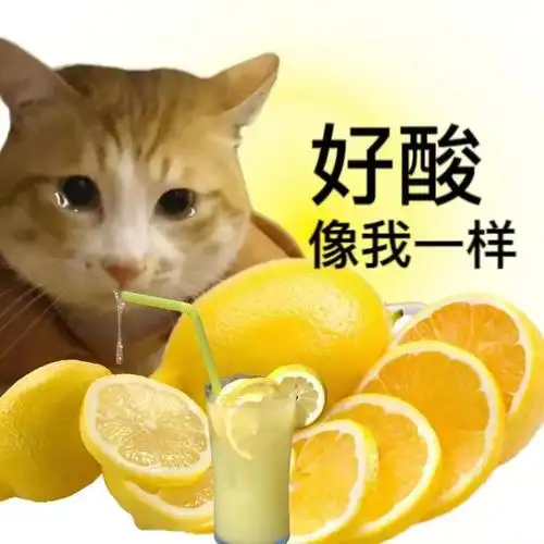 好酸像我一样(猫猫表情包)_好酸_猫猫表情