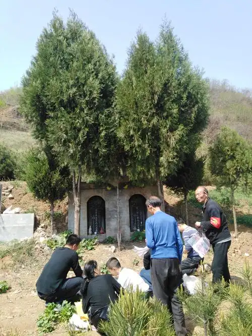 15319490908的美篇