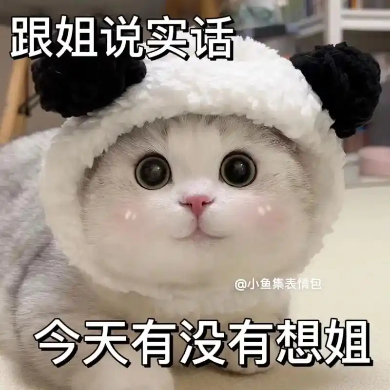 姐弟恋表情包.拿去发给你的弟弟05#猫咪表情包 #发给对象表 - 抖音