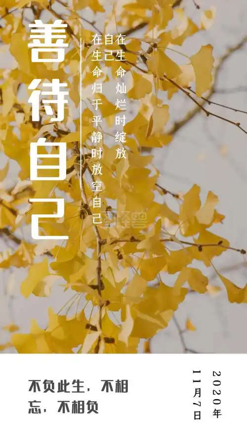 善待自己不负此生不相忘不相负日签