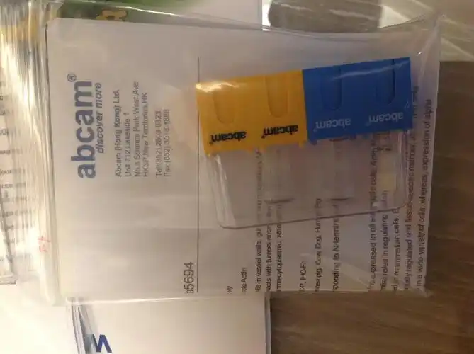 原装正品abcam抗体开学优惠促销