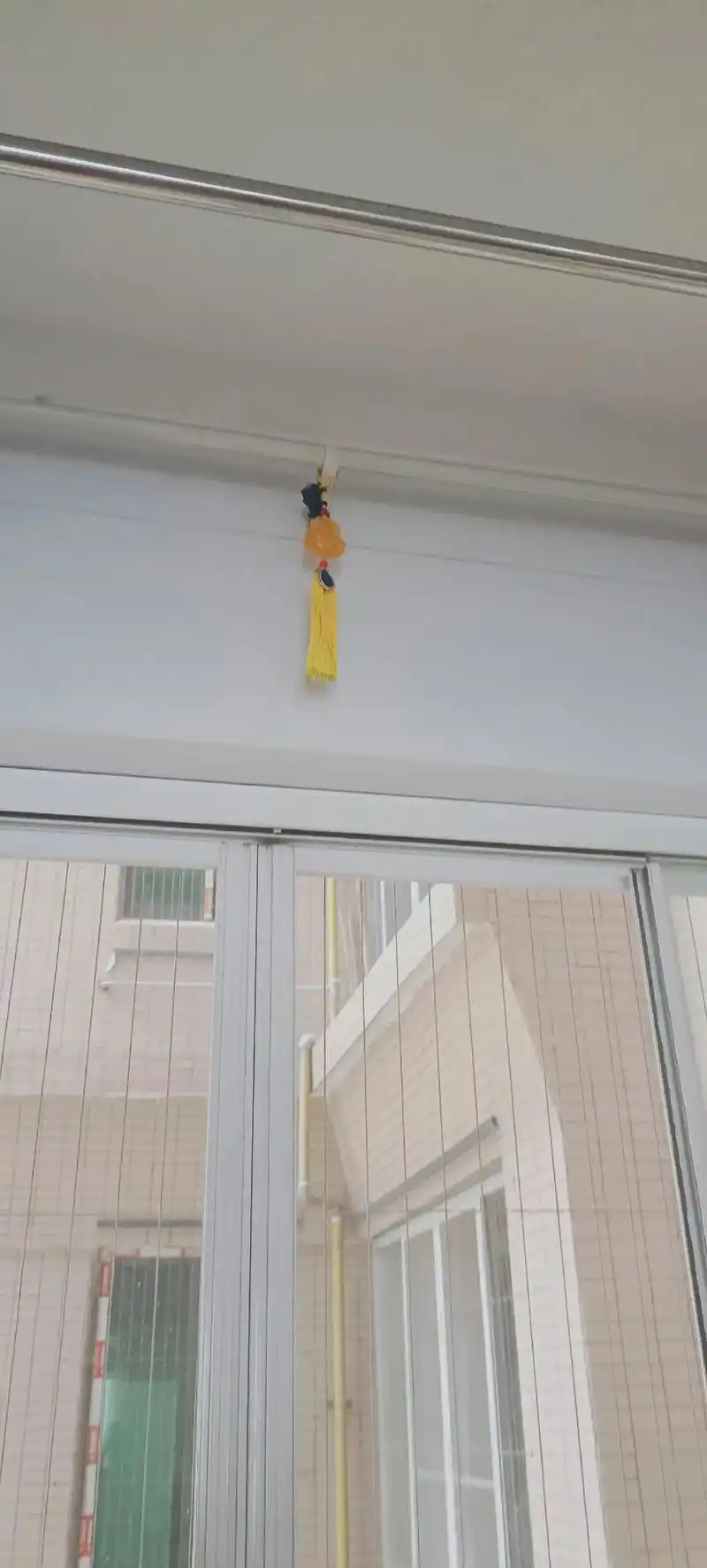 蝙蝠飞进屋内被认为是吉祥的预兆,代表吉祥幸福,预示将行好运. - 抖音