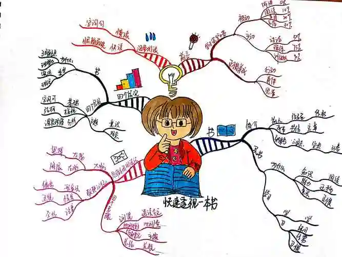快速透视一本书思维导图第三次作业