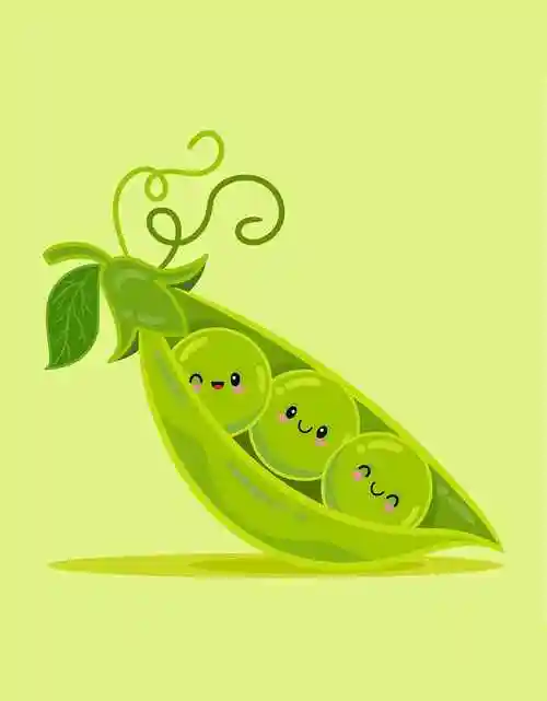 豌豆荚卡通插画 peas in a pod cartoon illustration