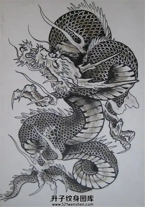 龙纹身手稿【升子纹身520】